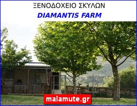 Hotels in Greece, malamute.gr